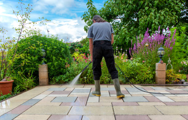 Best Animal Enclosure Cleaning  in Talpa, NM