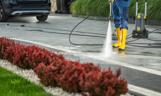 Best Driveway Pressure Washing  in Talpa, NM